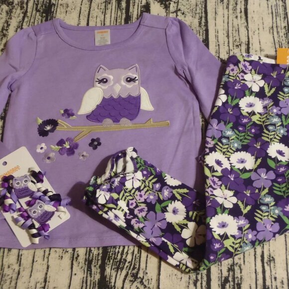 Gymboree Whooo's Cute 4T Leggings Owl Long Sleeve Shirt Hair Curly Clips Outfit - Picture 2 of 3